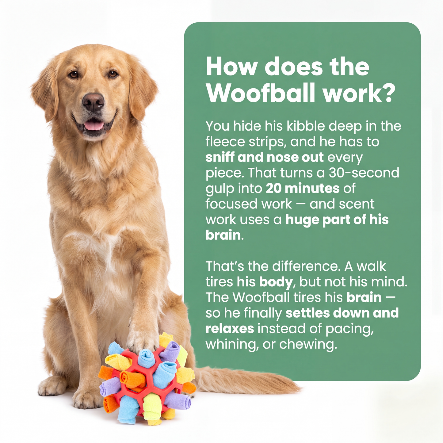 WoofBall
